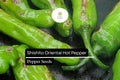 Shishito Pepper Seeds | Mild Heat, Non-GMO