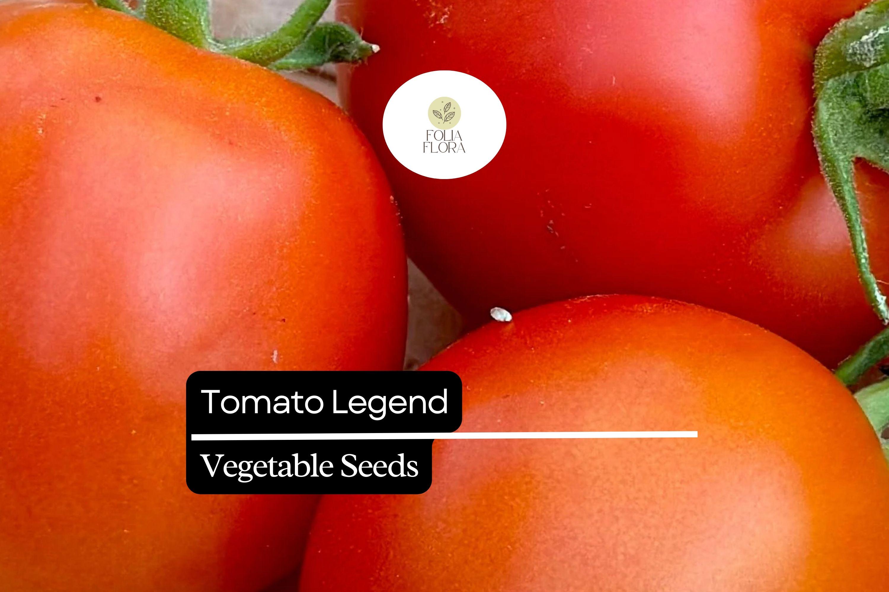 Legend Tomato Seeds | Non-GMO, Disease-Resistant (100mg)