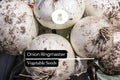Ringmaster Onion Seeds | Crisp White Bulbs, Easy to Grow (250mg)