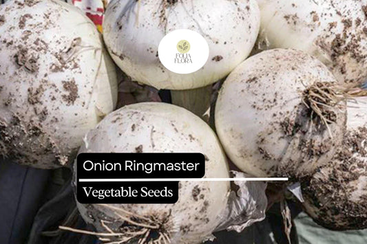 Ringmaster Onion Seeds | Crisp White Bulbs, Easy to Grow (250mg)