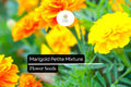 500mg Marigold Petite Mixture Seeds, Compact French Marigolds, Vibrant Blooms for Gardens & Containers