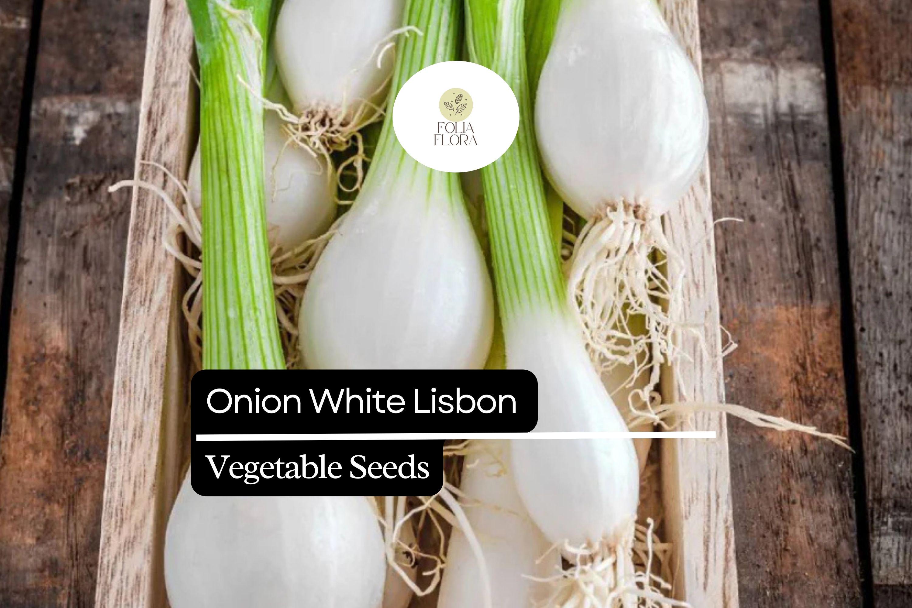 250 Seeds White Lisbon Onion â€“ Allium cepa, Mild & Crisp Bunching Onion