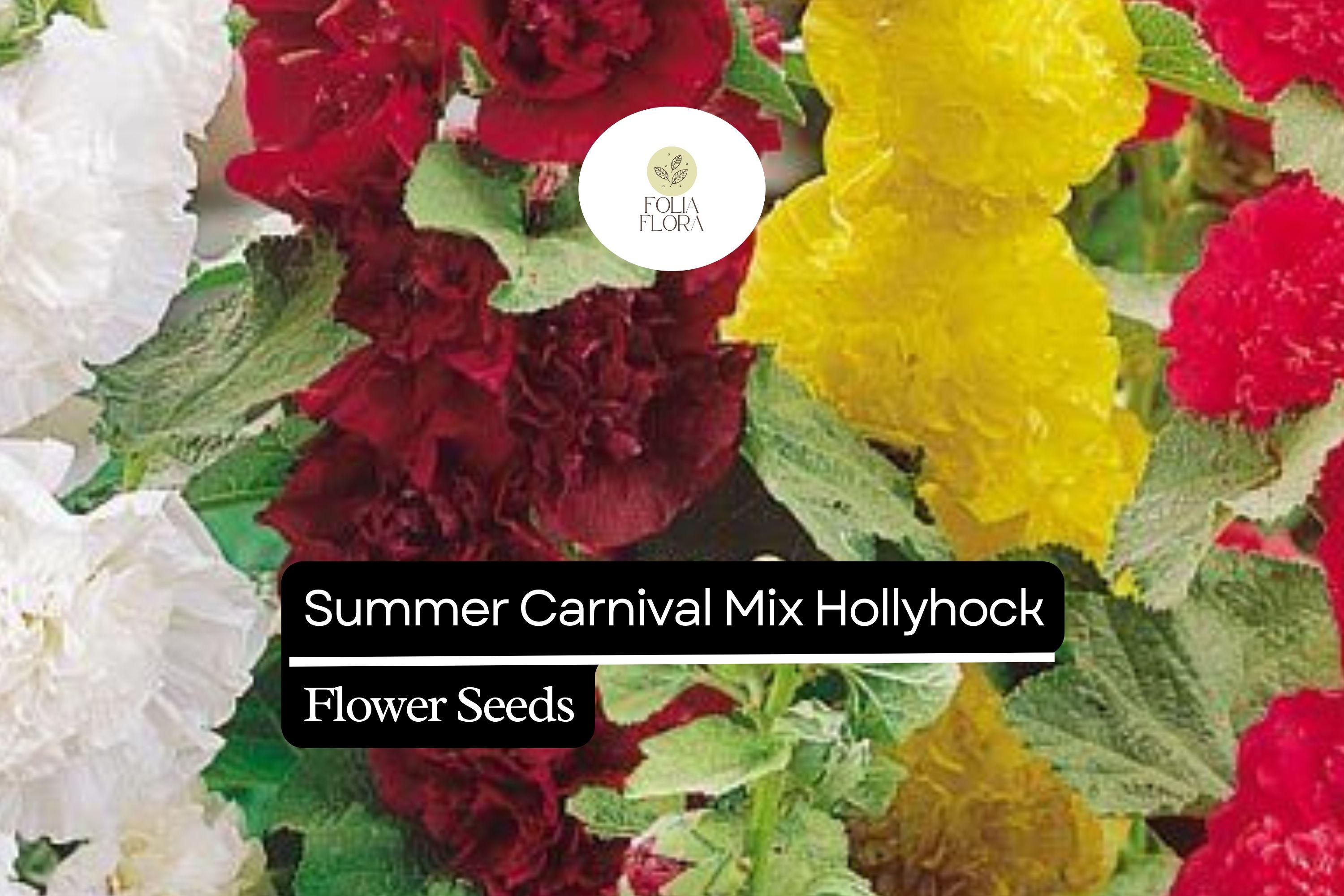 Summer Carnival Hollyhock Seeds â€“ Vibrant Double Blooms, Cottage Garden