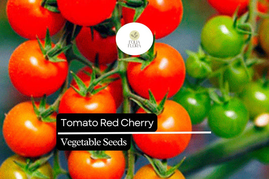 Red Cherry Tomato Seeds â€“ Sweet, Bite-Sized, High Yield (50 Seeds)