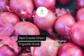 200 Seeds Red Creole Onion, Allium Cepa, Flavorful Heirloom for Cooking and Storing