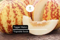 Tigger Melon Seeds â€“ Heirloom Variety with Striped Skin
