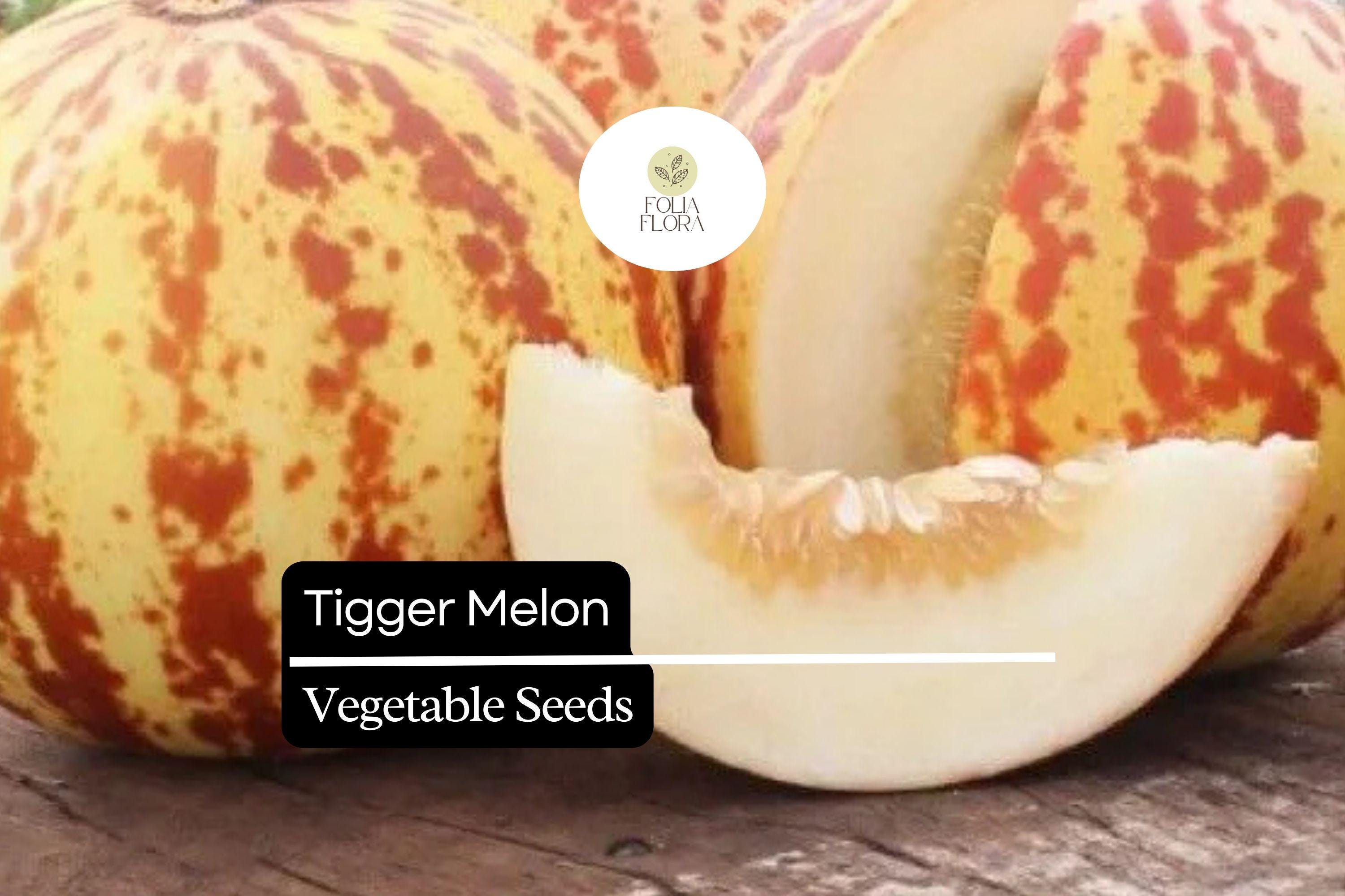 Tigger Melon Seeds â€“ Heirloom Variety with Striped Skin
