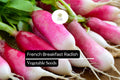 200 French Breakfast Radish Seeds â€“ Heirloom, Quick-Growing