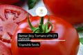 Better Boy Tomato Seeds, F1 Hybrid, VFN, High-Yield, Disease-Resistant Solanum Lycopersicum