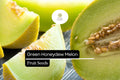 50 Seeds Green Honeydew Melon, Cucumis Melo, Sweet & Juicy Heirloom Variety