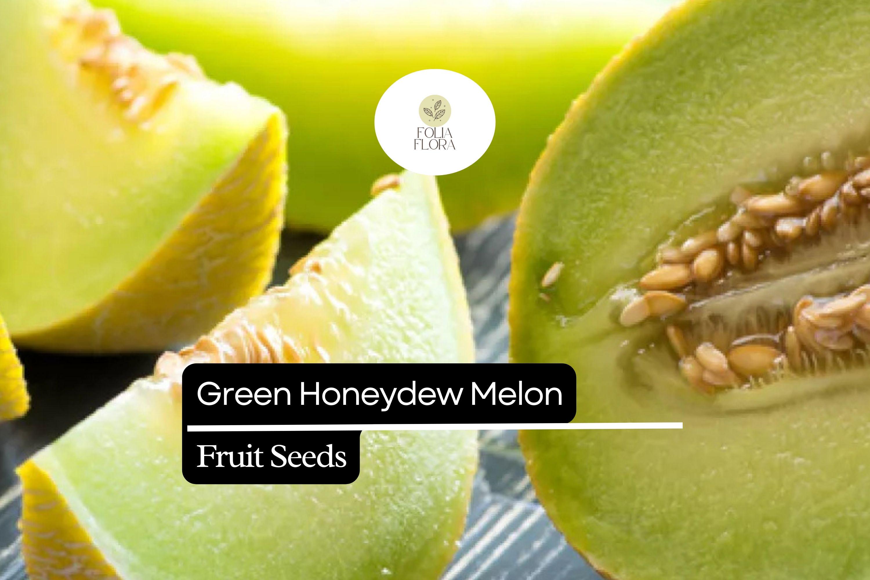 50 Seeds Green Honeydew Melon, Cucumis Melo, Sweet & Juicy Heirloom Variety