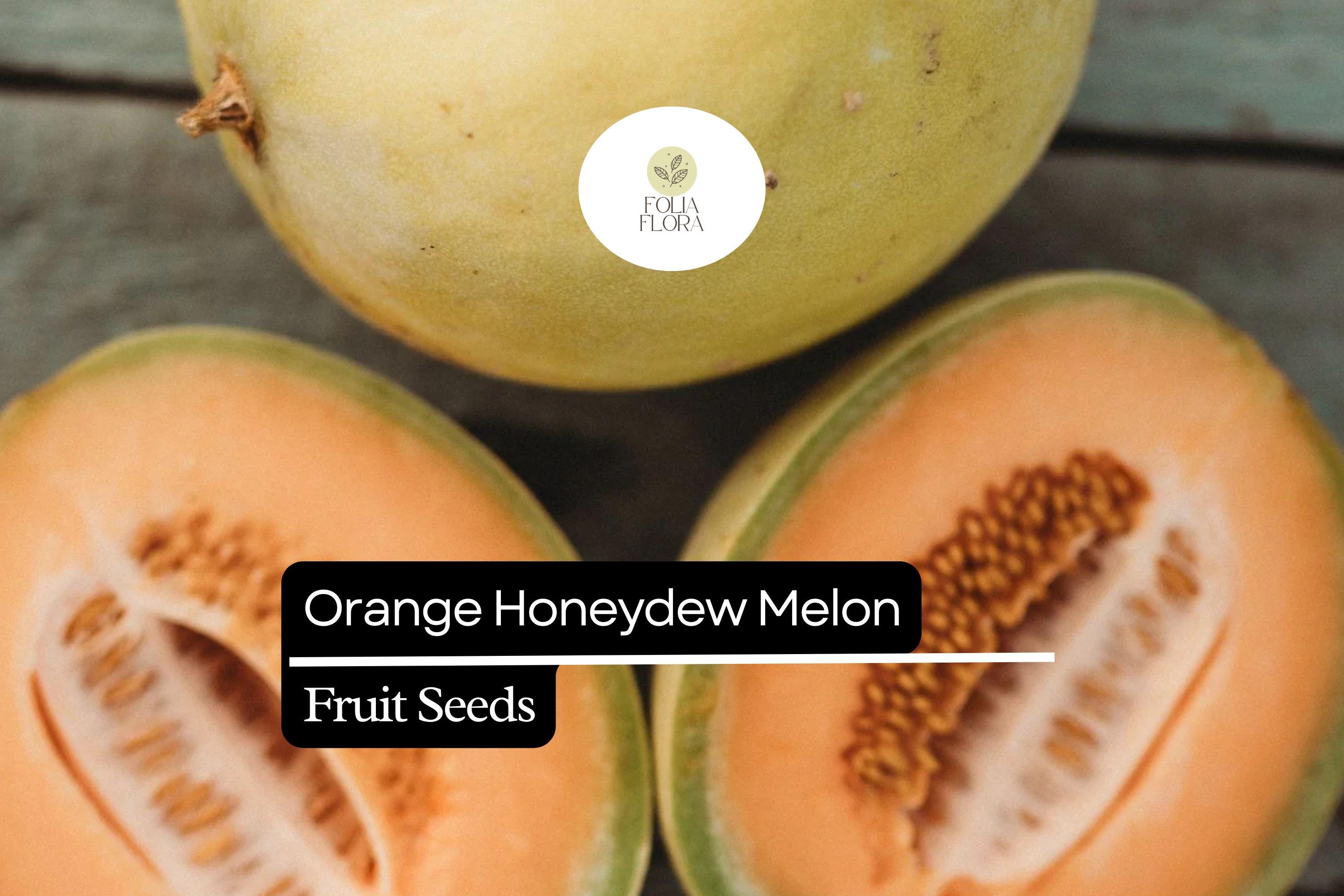 50 Seeds Orange Honeydew Melon, Cucumis Melo, Sweet Juicy Orange-Fleshed Melon