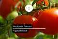 50 Seeds Floradade Tomato Seeds – Heat-Tolerant, High-Yielding, Crack-Resistant, Indeterminate Solanum lycopersicum