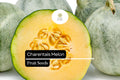 25 Seeds Charentais Melon (Cucumis melo) â€“ French Heirloom Melon with Sweet, Fragrant Flesh
