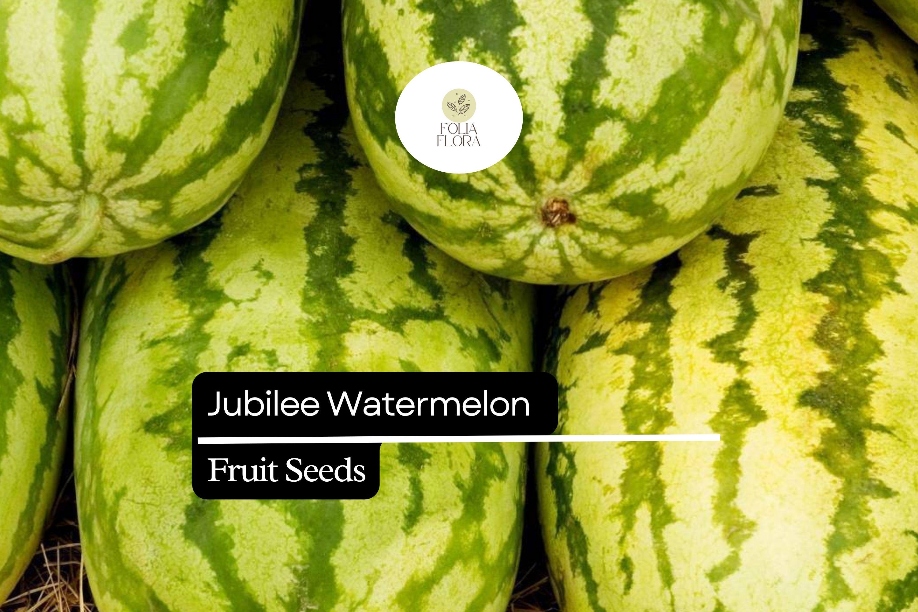 5 Seeds Jubilee Watermelon (Citrullus lanatus) â€“ Sweet, Juicy, Striped Heirloom Variety