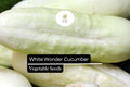 50 Seeds White Wonder Cucumber (Cucumis sativus) â€“ Unique White Skin, Crisp Texture, Sweet Flavor