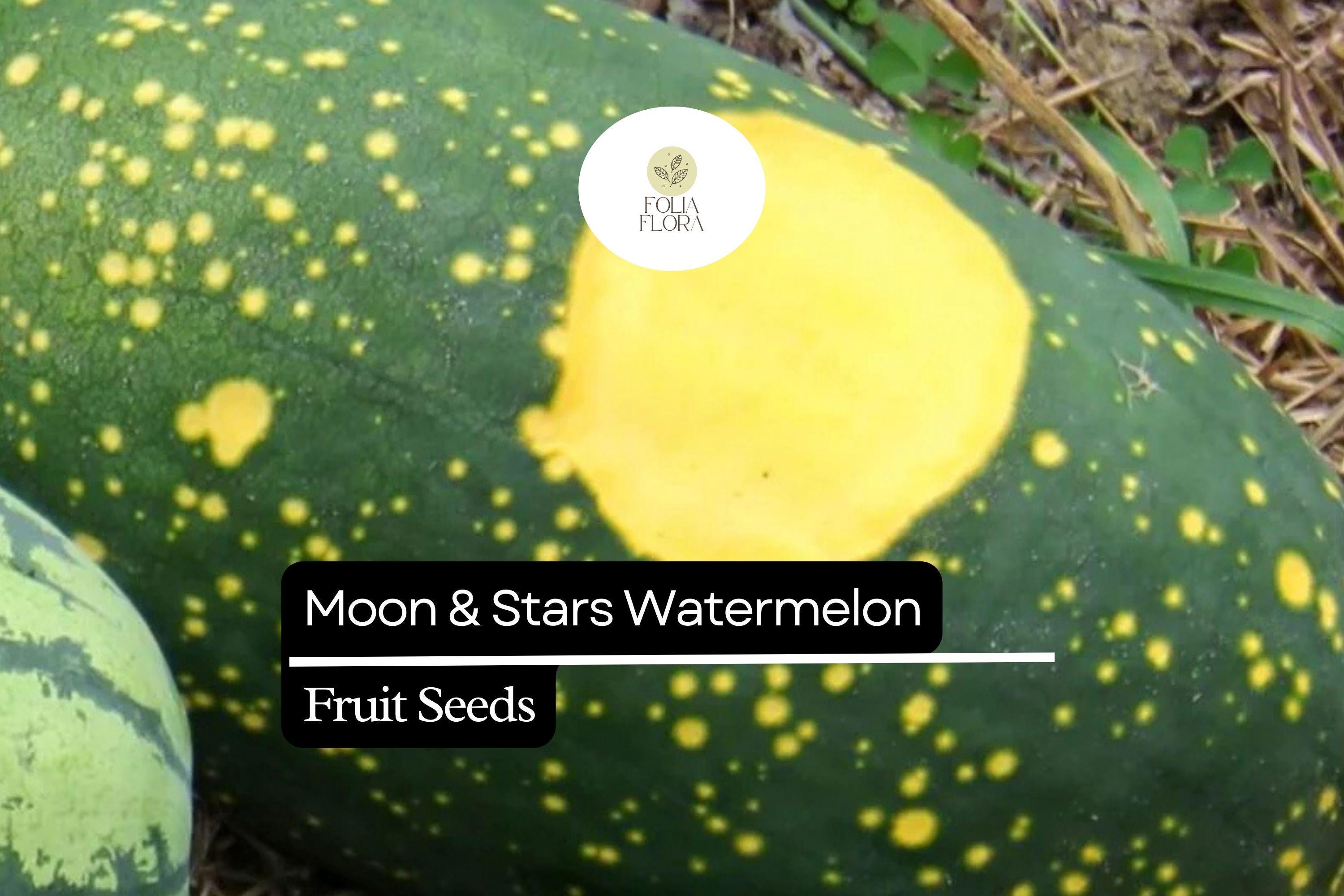 Moon & Stars Watermelon Seeds â€“ Heirloom Variety, Sweet Red Flesh