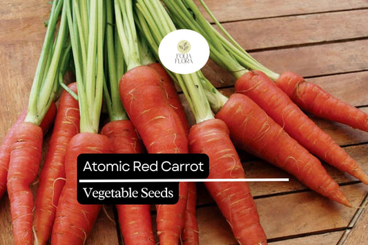 Atomic Red Carrot Seeds â€“ Sweet & Nutrient-Rich Variety