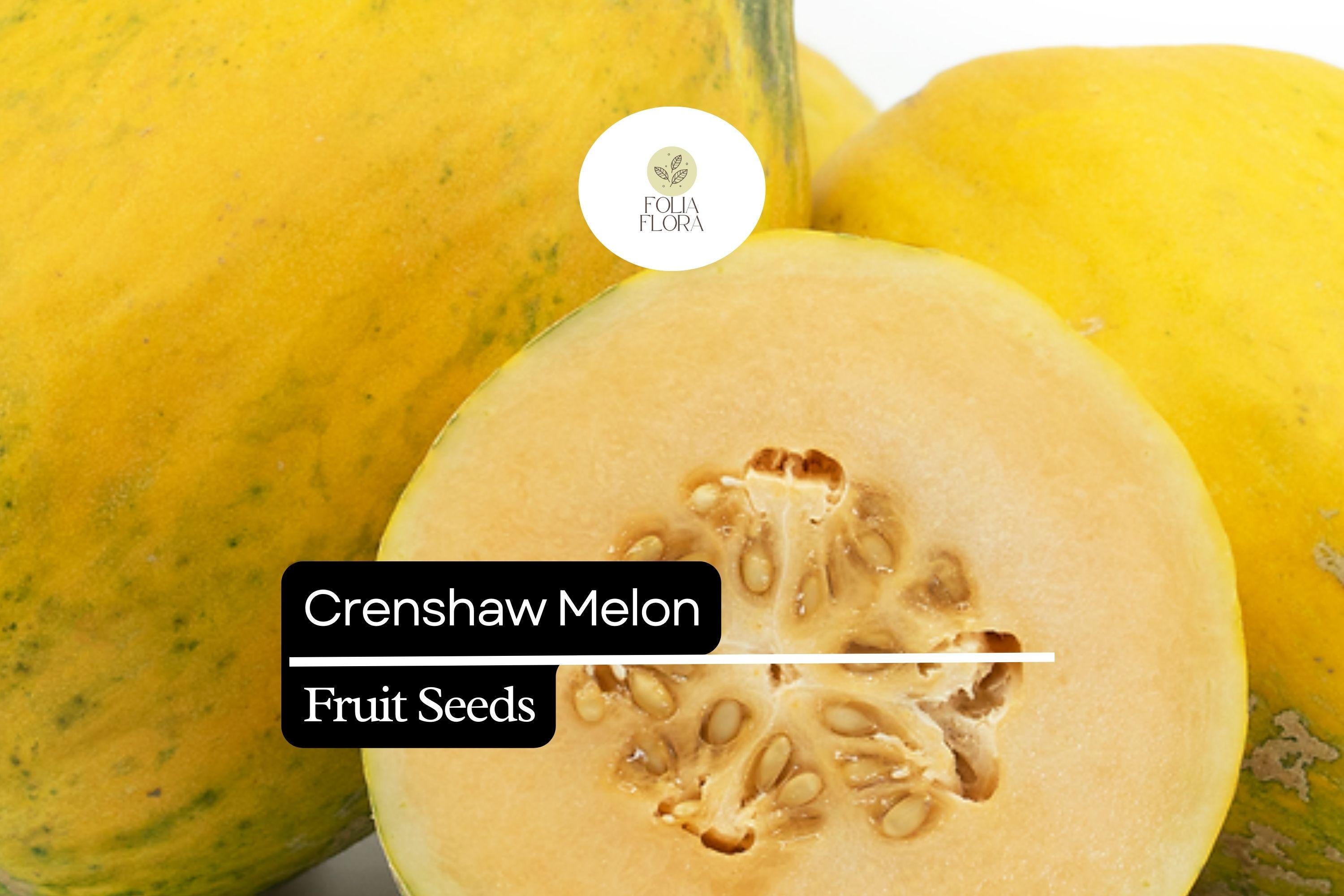 20 Seeds Crenshaw Melon (Cucumis melo) â€“ Sweet, Juicy, Aromatic Melons for Home Gardens