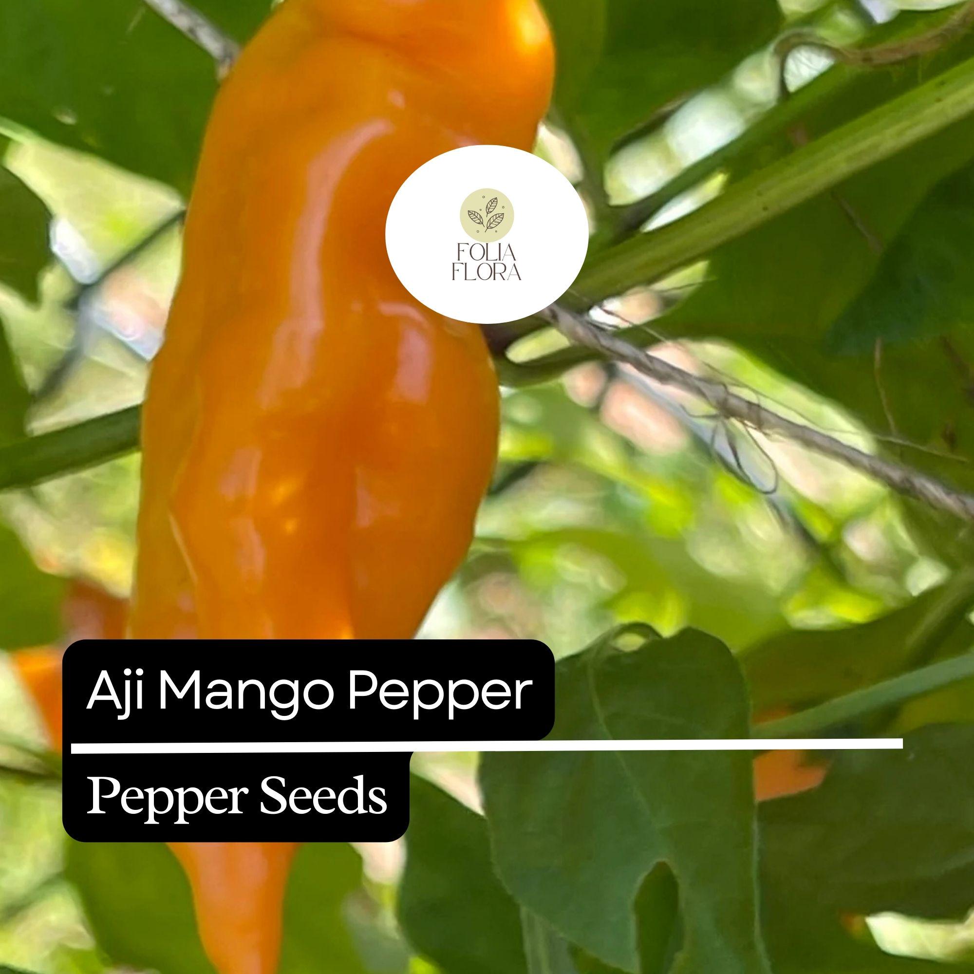 25+ Aji Mango Pepper Seeds (Capsicum baccatum) â€“ Sweet, Fruity & Mild Heat, Heirloom, Non-GMO