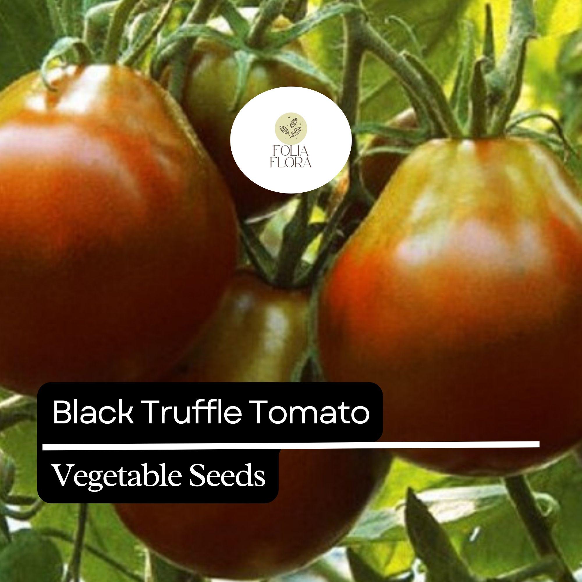 Black Truffle Tomato Seeds – Heirloom, Non-GMO, Pear-Shaped, Rich & Sweet Flavor, Solanum lycopersicum