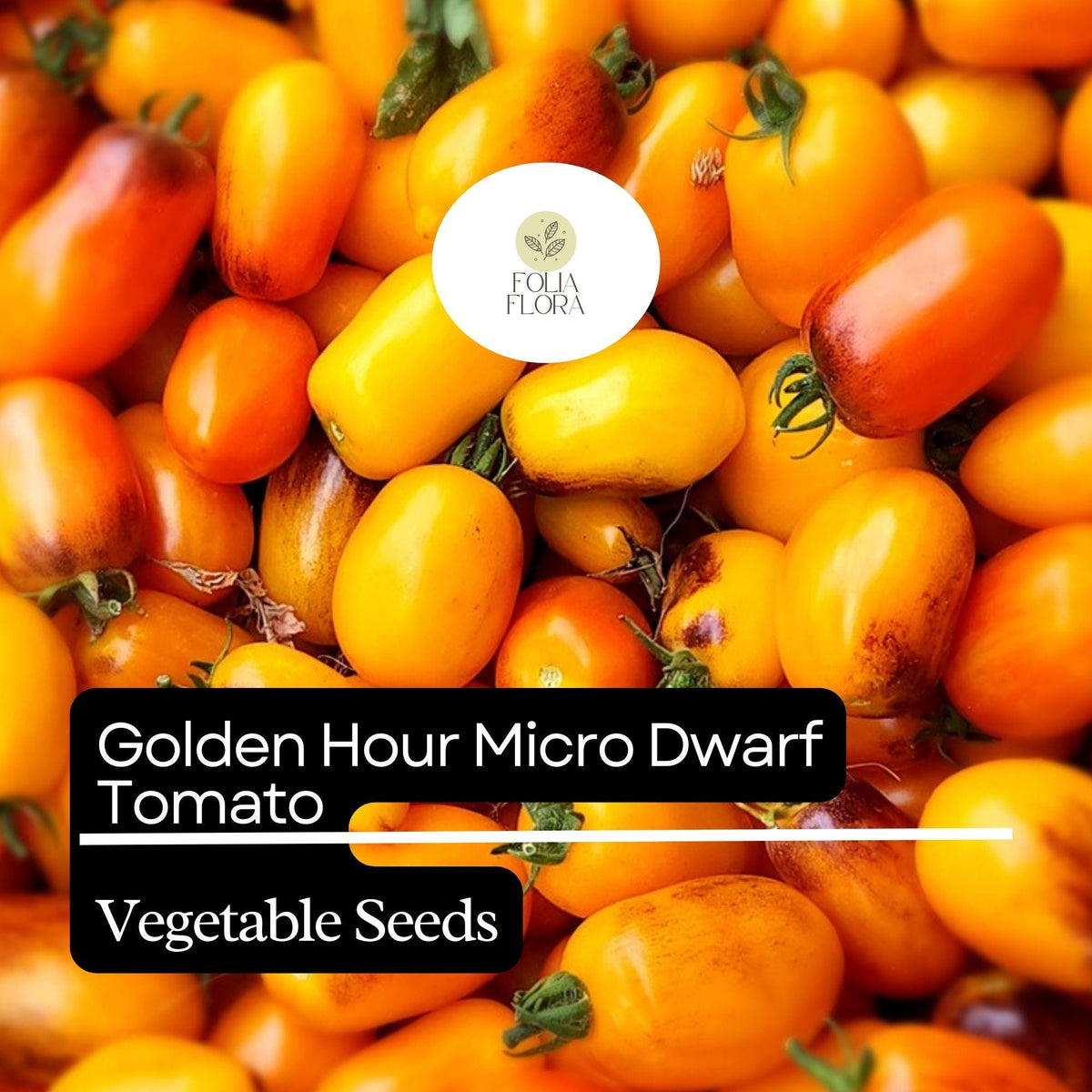 15 Golden Hour Micro Dwarf Tomato Seeds â€“ Heirloom, Non-GMO, Compact & High-Yield
