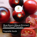 Blue Room Micro Dwarf Tomato Seeds – High-Yield Heirloom, Compact Cherry Tomatoes, Solanum lycopersicum
