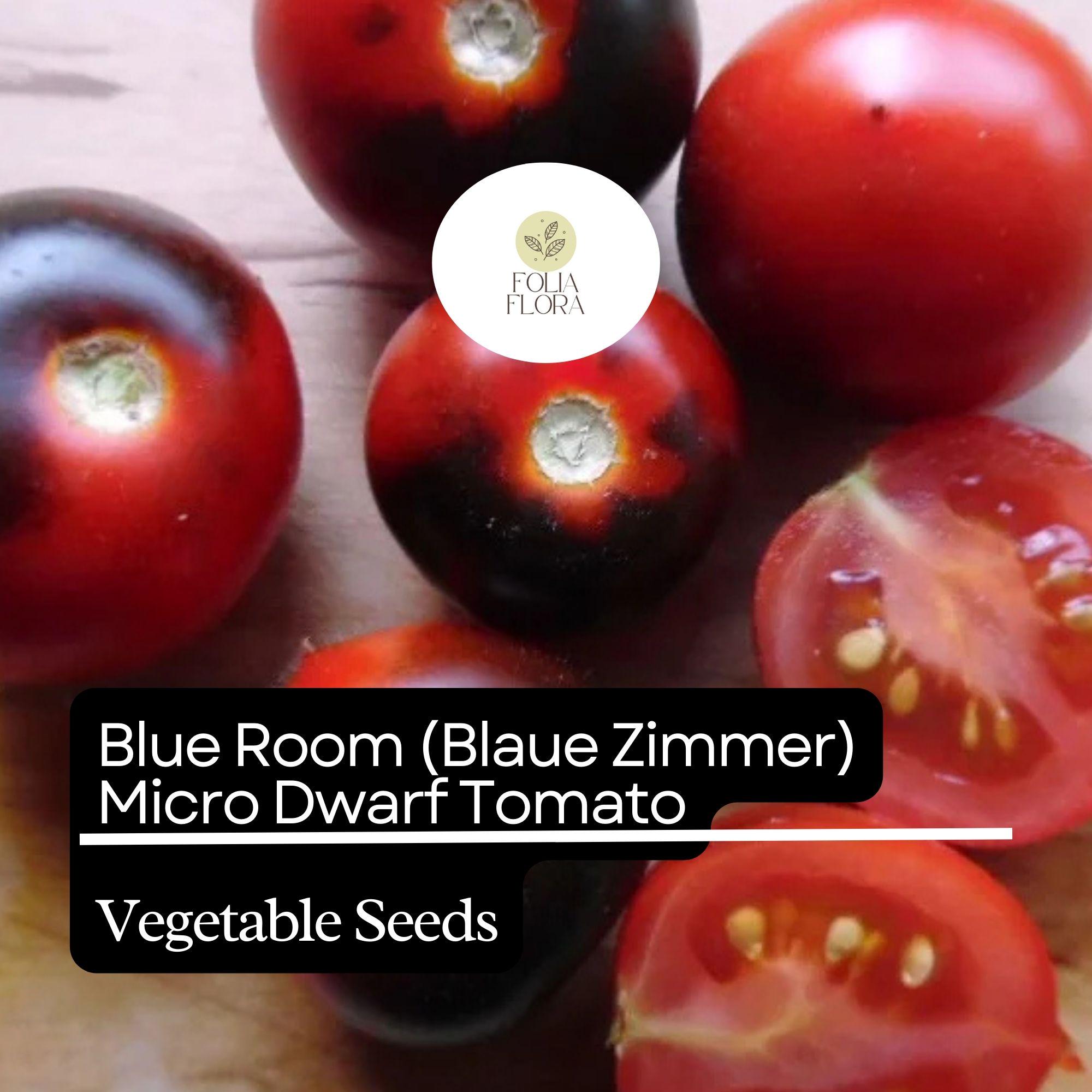 Blue Room Micro Dwarf Tomato Seeds – High-Yield Heirloom, Compact Cherry Tomatoes, Solanum lycopersicum