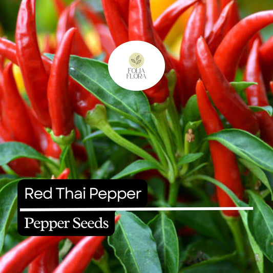 Red Thai Pepper Seeds – Heirloom Non-GMO Chili Seeds for Spicy Cuisine, High-Yield Capsicum annuum
