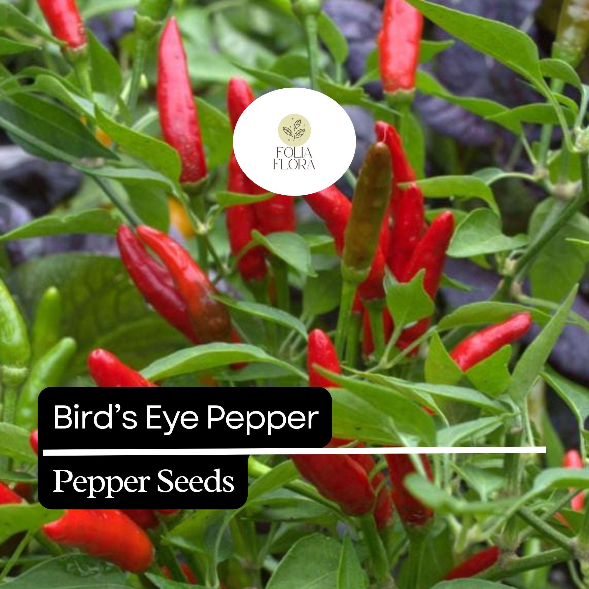 20 Birdâ€™s Eye Pepper Seeds â€“ Heirloom, Extra Spicy, Non-GMO, High Yield, Easy to Grow