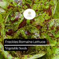 1000 Freckles Romaine Lettuce Seeds â€“ Heirloom, Non-GMO, Speckled Red & Green Leaves