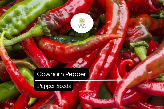 Cowhorn Pepper Seeds – Heirloom Capsicum Annuum, Long Curved Hot Peppers for Sauces & Cooking