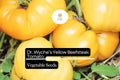 30 Dr. Wyche’s Yellow Tomato Seeds – Heirloom Beefsteak, Golden-Yellow, High-Yield, Low-Acid, Indeterminate Solanum lycopersicum