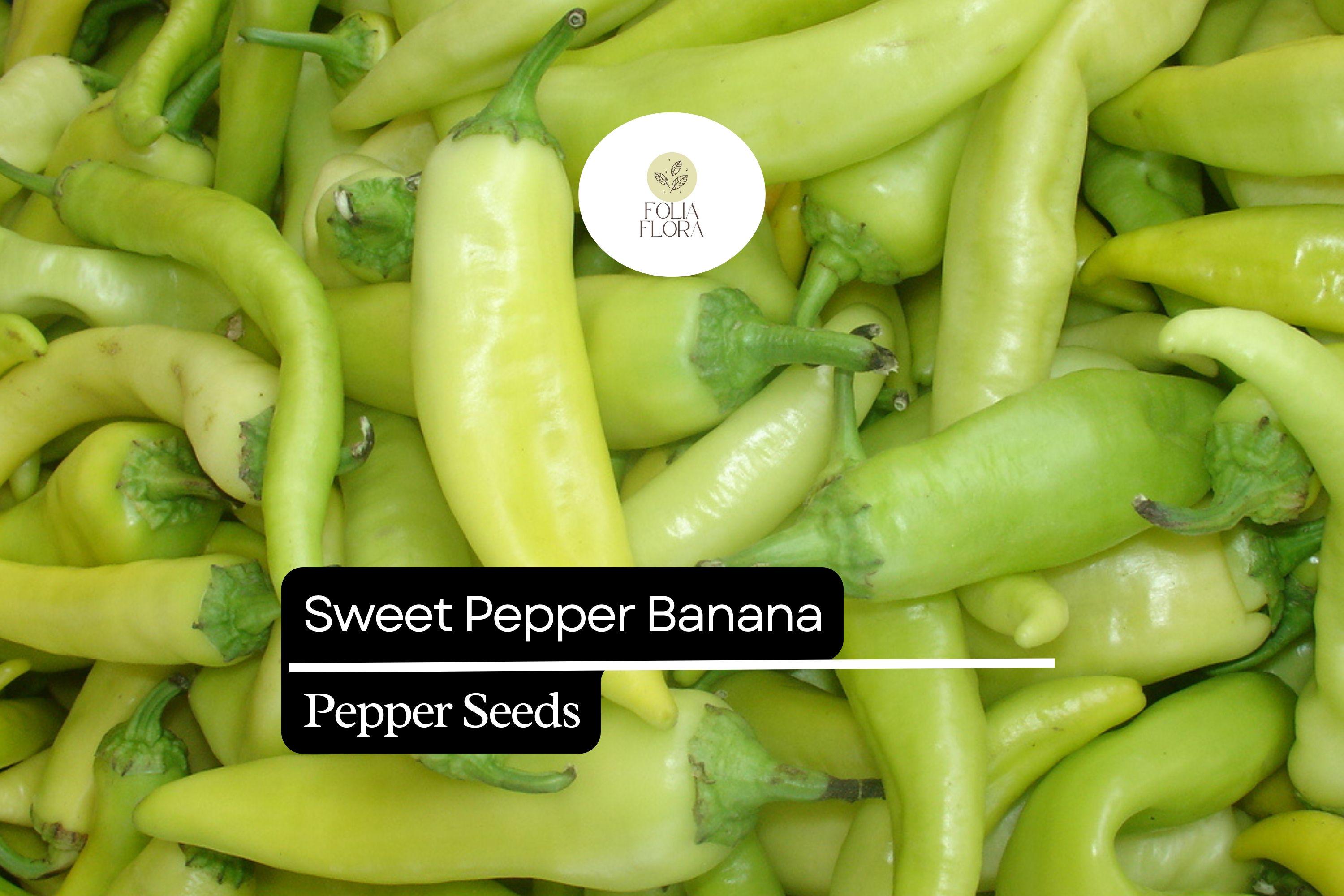 25 Sweet Banana Pepper Seeds – Heirloom, Non-GMO, Mild & Sweet, High-Yielding Capsicum annuum for Garden & Container Growing