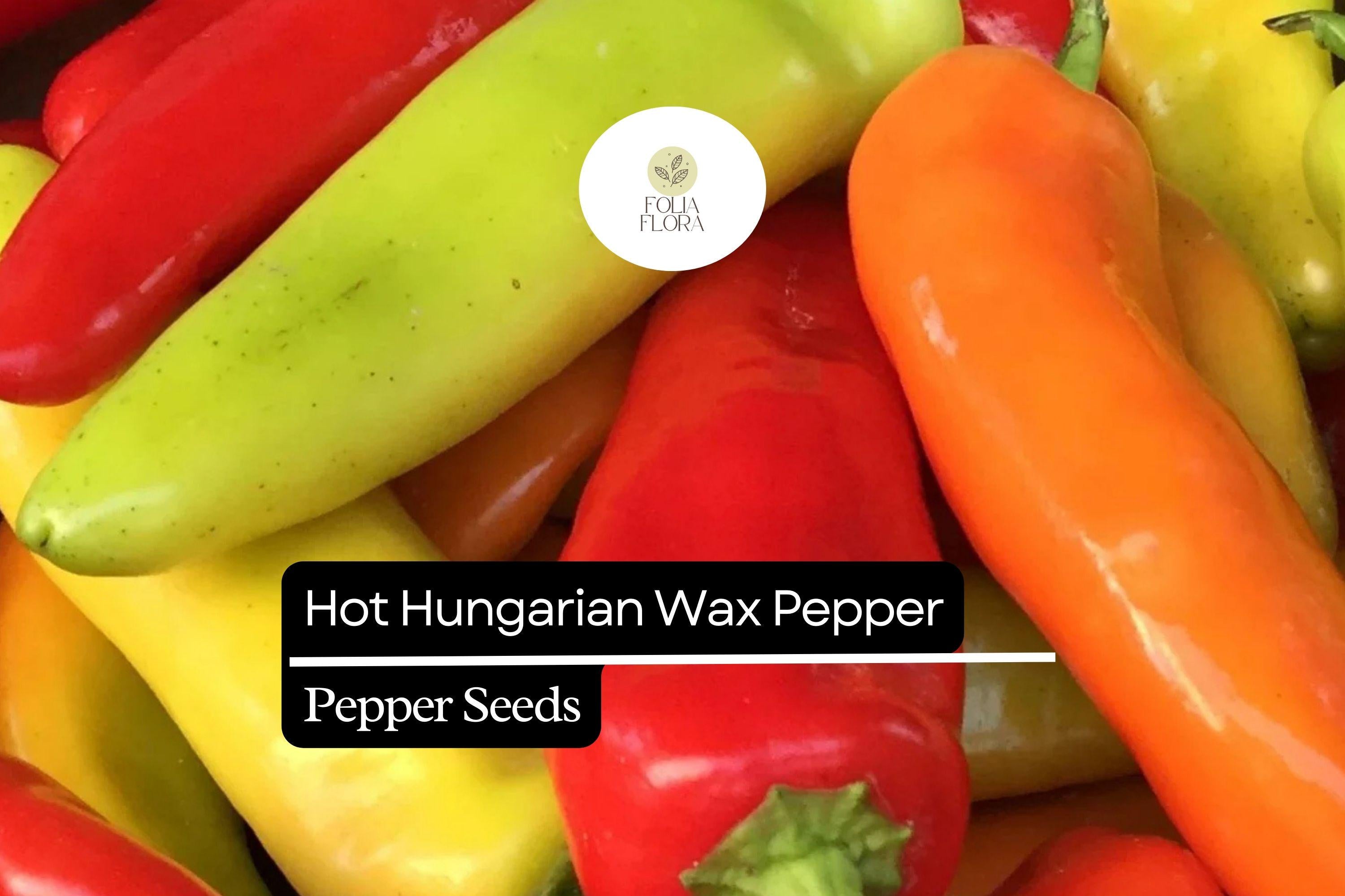 Hot Hungarian Wax Pepper Seeds – Heirloom, Spicy & Tangy, High-Yielding, Capsicum annuum