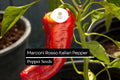 Marconi Rosso Italian Pepper Seeds – Heirloom, Sweet, High-Yielding, Non-GMO, Capsicum annuum