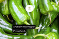 25 Anaheim Pepper Seeds – Mild, Flavorful, High-Yielding Capsicum annuum Chili Seeds for Cooking, Roasting, Stuffing, and Grilling