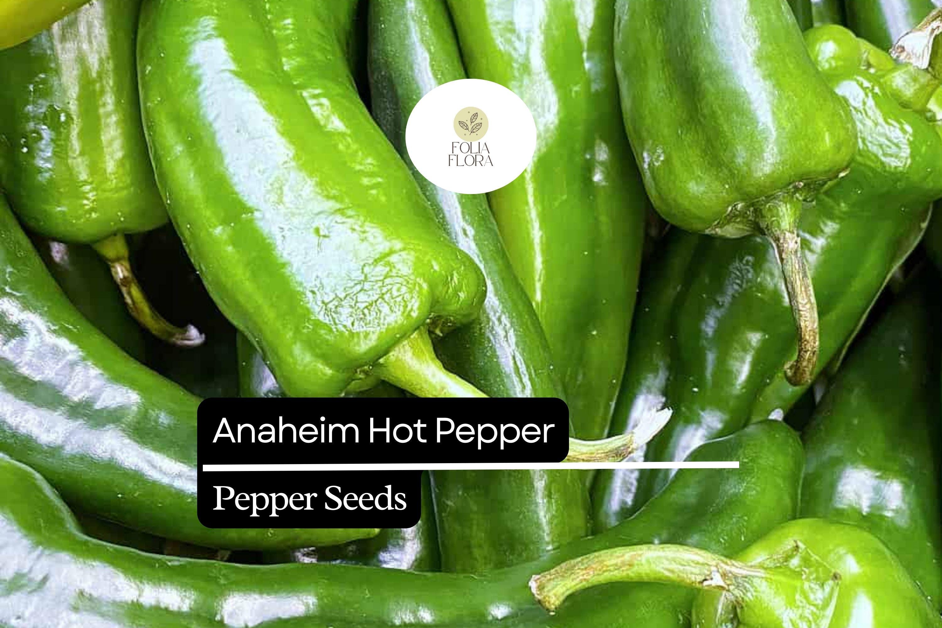 25 Anaheim Pepper Seeds – Mild, Flavorful, High-Yielding Capsicum annuum Chili Seeds for Cooking, Roasting, Stuffing, and Grilling