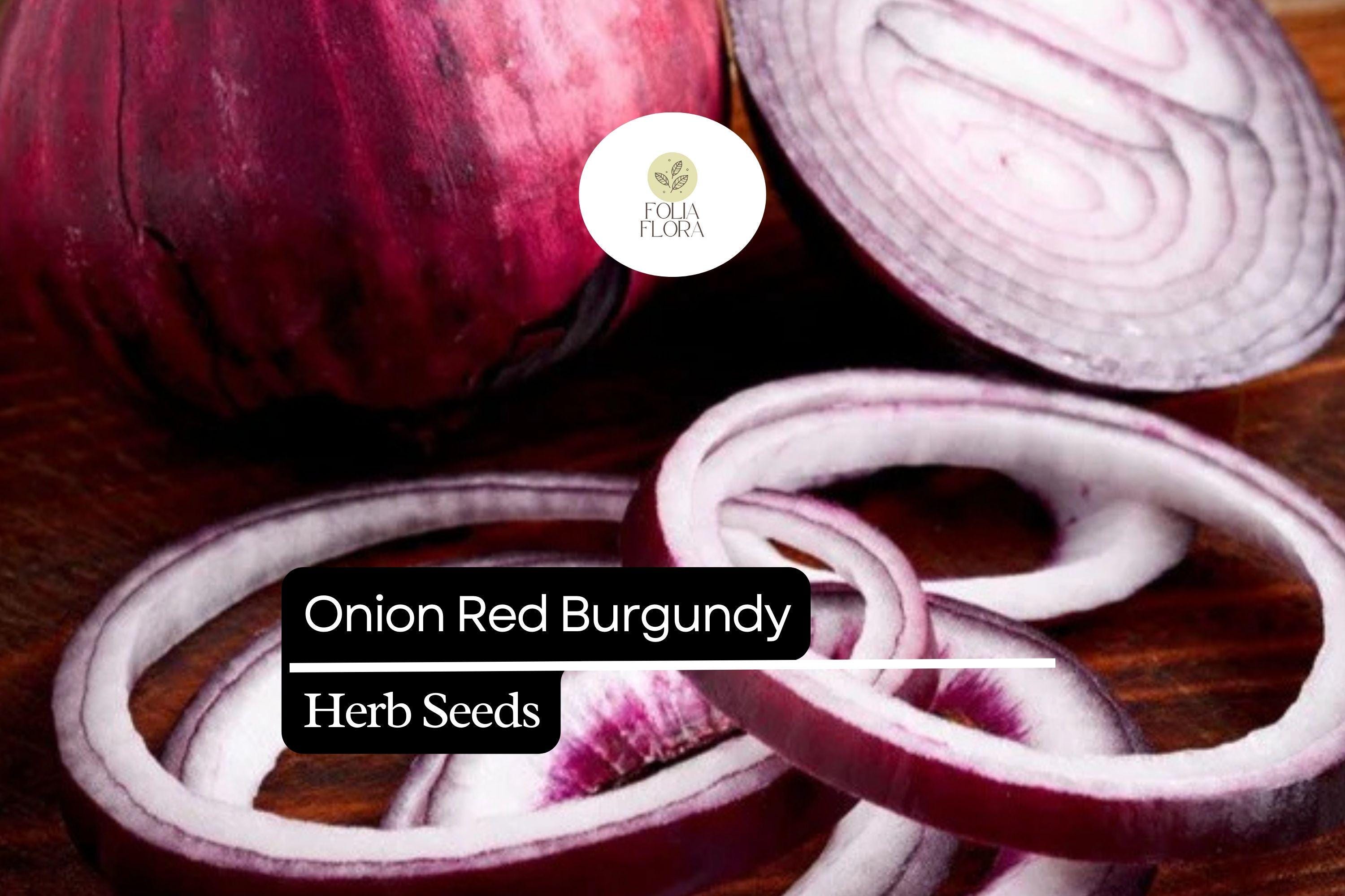 Red Burgundy Onion Seeds – Heirloom, Non-GMO, High Yield, Mild & Sweet Flavor, Allium cepa