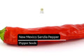 25 New Mexico Sandia Pepper Seeds – Heirloom, Mild-Medium Heat, Capsicum annuum, for Roasting, Drying & Culinary Use