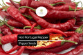 25 Hot Portugal Pepper Seeds â€“ Capsicum annuum â€“ Heirloom Chili, Medium-Hot Peppers, Early Maturing, Non-GMO