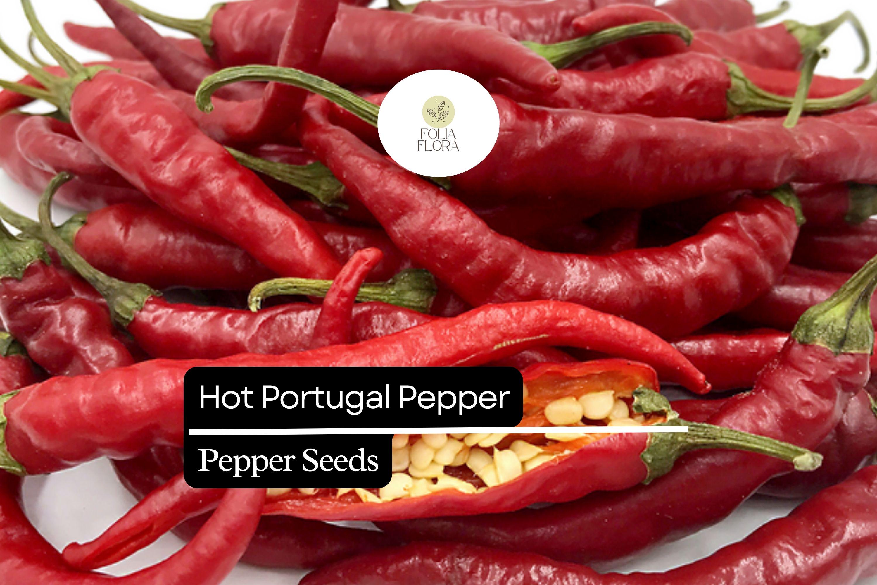 25 Hot Portugal Pepper Seeds â€“ Capsicum annuum â€“ Heirloom Chili, Medium-Hot Peppers, Early Maturing, Non-GMO