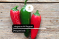Jalapeño M Pepper Seeds – Heirloom, Non-GMO, Medium Heat, Capsicum annuum, 3-inch Green & Red Fruits