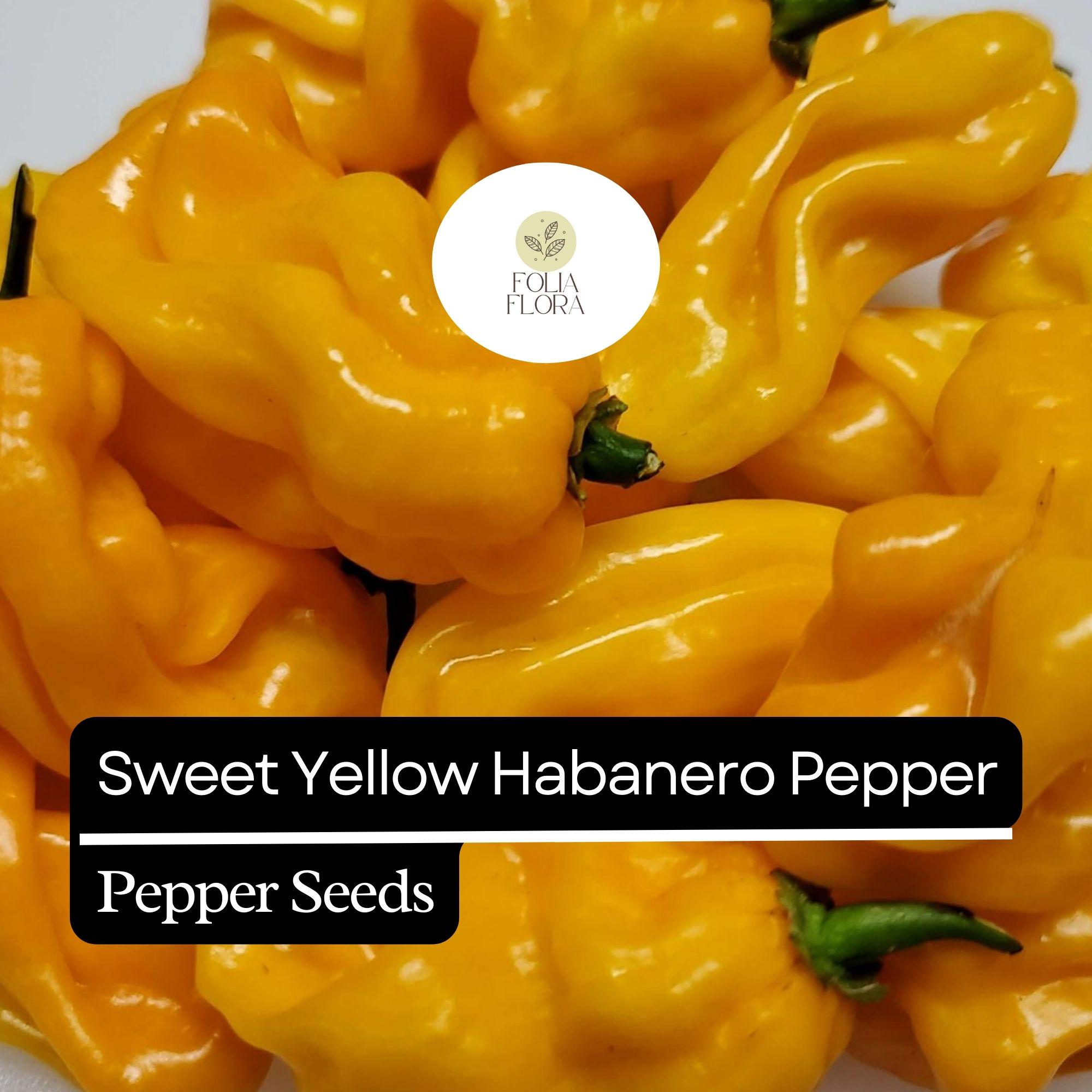 20 Sweet Yellow Habanero Pepper Seeds – Heirloom, Non-GMO, Fruity Flavor, Capsicum chinense