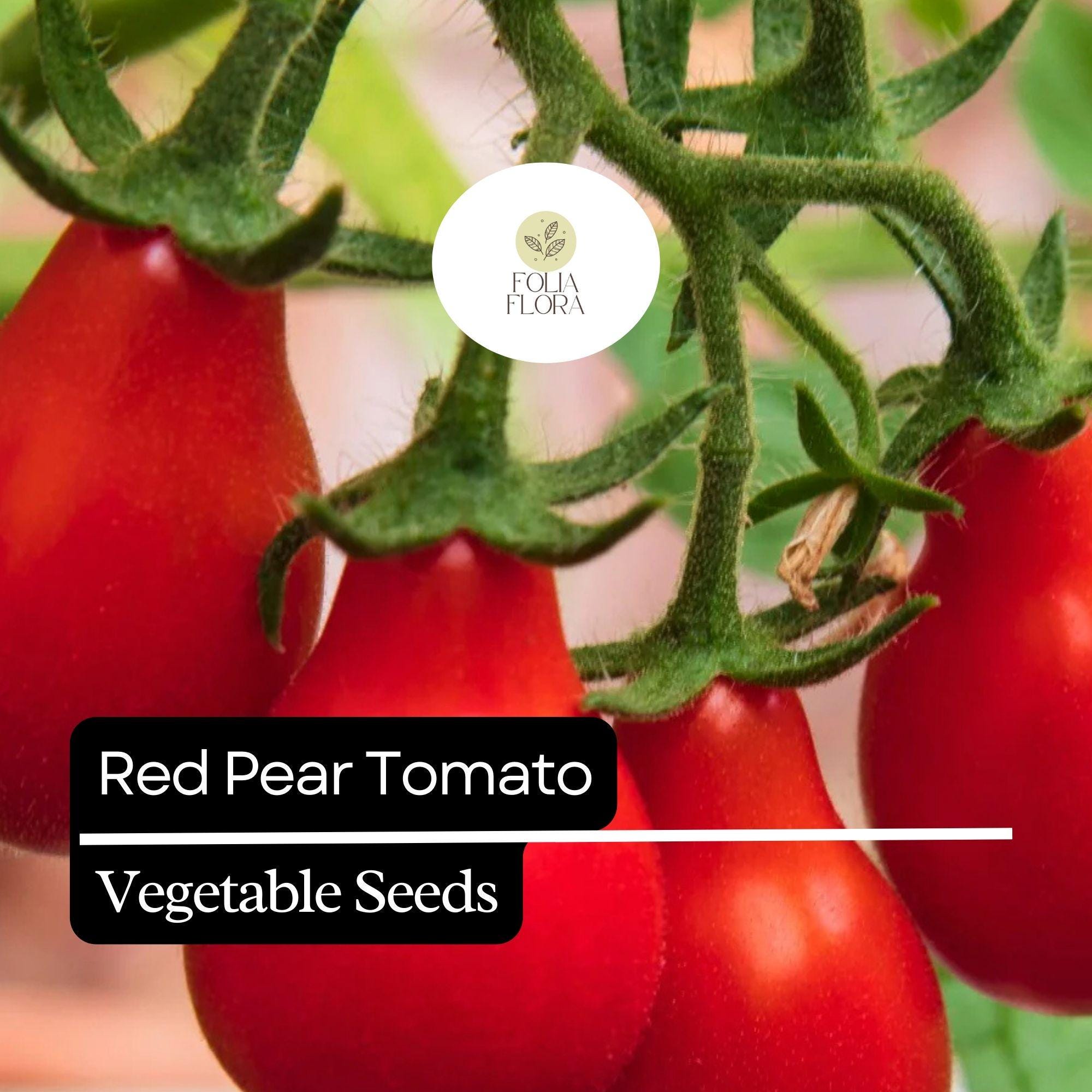 Red Pear Tomato Seeds – Heirloom, Non-GMO, Sweet & Juicy, High-Yield Cherry Tomato, Solanum lycopersicum