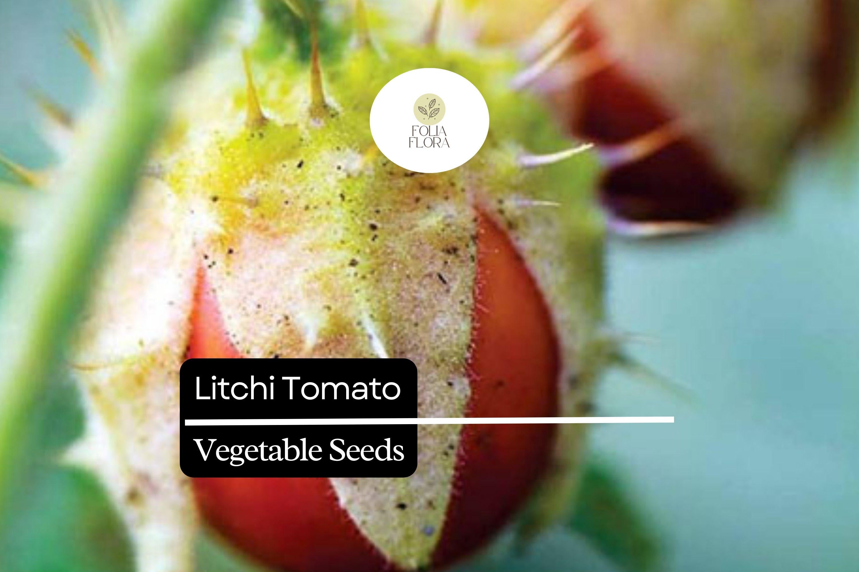 Litchi Tomato Seeds (Solanum sisymbriifolium) | 50 Seeds | Rare Heirloom Fruit with Spiny Foliage