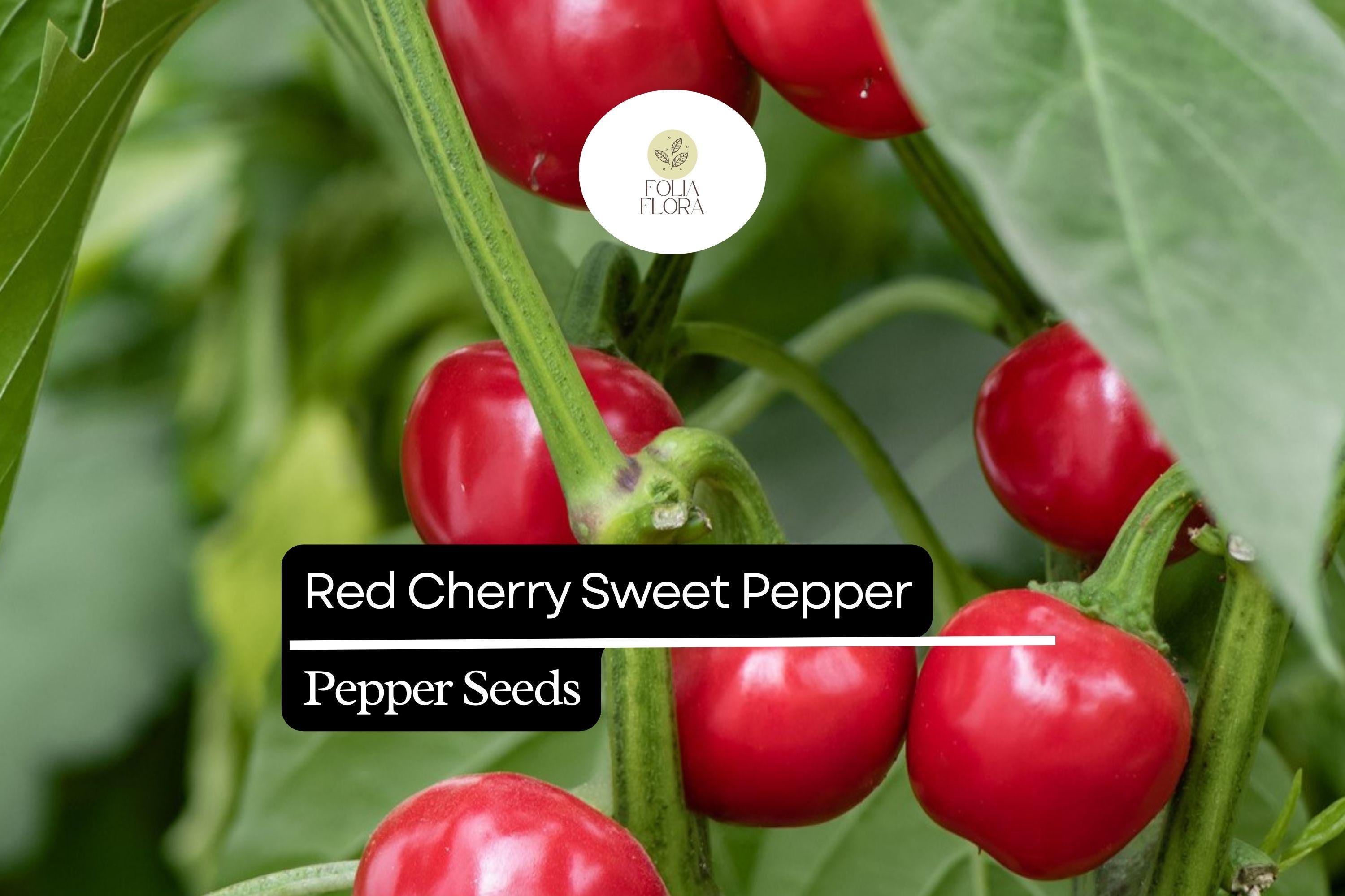 Sweet Red Cherry Pepper Seeds – Heirloom, Non-GMO, Small, Round, Capsicum annuum