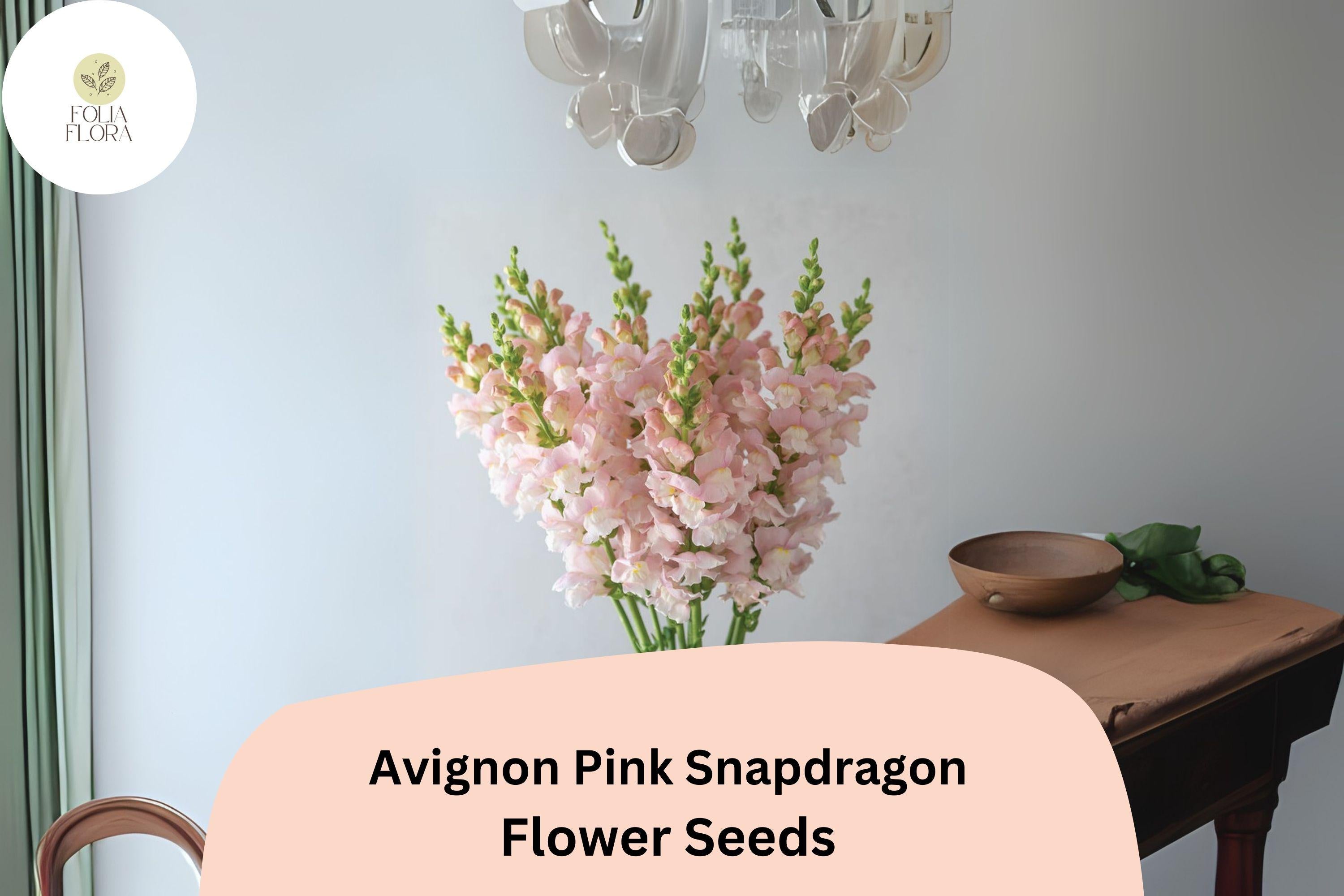 Avignon Pink Snapdragon Seeds | 1000+ Elegant Blush Blooms