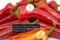 Fresno Pepper Seeds – Heirloom, Non-GMO, High Yield, Spicy & Flavorful, Capsicum annuum, 25 Seeds