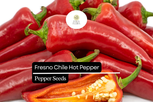 Fresno Pepper Seeds – Heirloom, Non-GMO, High Yield, Spicy & Flavorful, Capsicum annuum, 25 Seeds